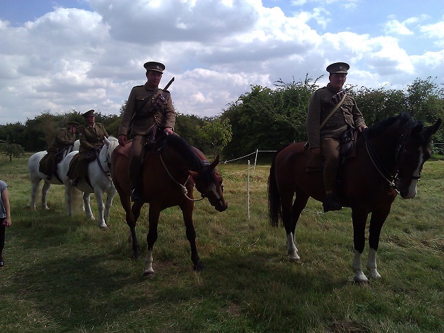 Our horse display